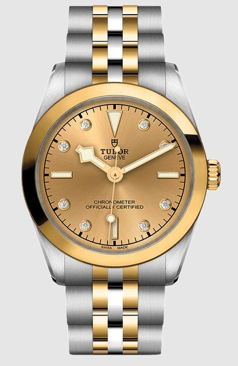 Tudor Black Bay 31 S&G 79603-0008 Replica Watch